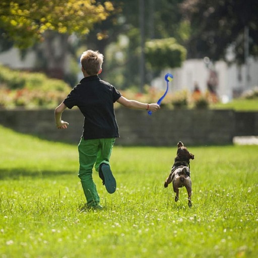 HRAČKA PRE PSA VYPÚŠŤAČAČ LOWER DART GALL S MIX LOPTOU