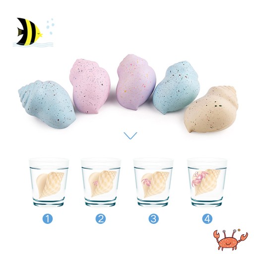 GÉLOVÁ HRAČKA MAGIC SHELL MORSKÉ ZVIERATKÁ RASTÚCE VO VODE