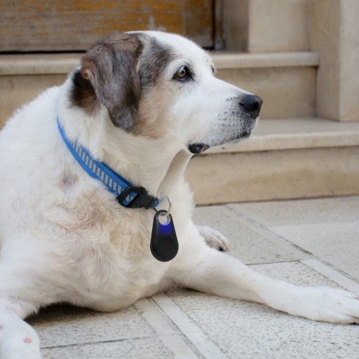 BLUETOOTH GPS KĽÚČENSTVO KRÚŽOK NA KĽÚČ