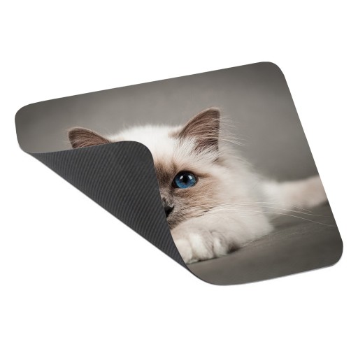 Podložka pod myš s mačkou, CATS