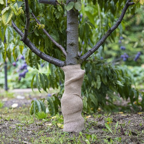 Ekologická jutová páska v kotúči 30 cm / 5 m