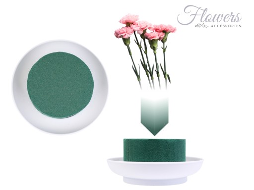 VLHKÁ FLORISTICKÁ HUBKA CIOTOLA MINI SO STOJANOM