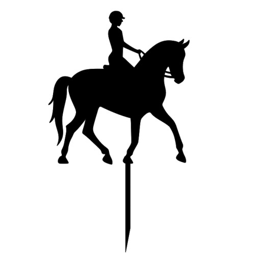 Jazda na koni Veselý chlapec na koni Topper HORSE Kobyla PLEXI Black Horse