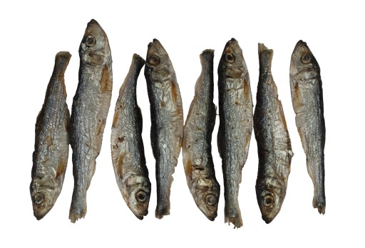 SPRAT PREMIUM sušené šproty pre psov a mačky 100g