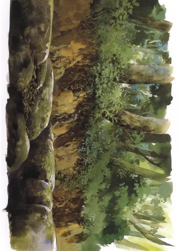 Anime Manga Spirited Away smradľavý plagát 005 A3