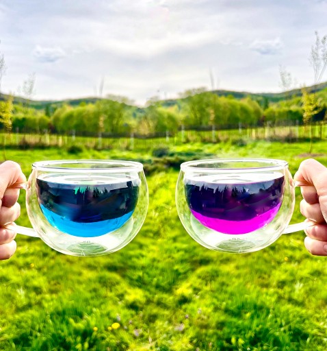 Blue Butterfly Pea Tea Klitoria Ternateńska 2 PREMIUM FARBY