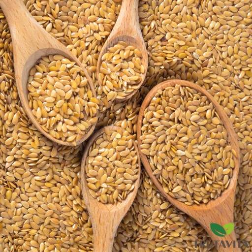 GOLDEN LINEN 1 kg osiva GOLDEN FLEX VYSOKÁ KVALITA ČERSTV