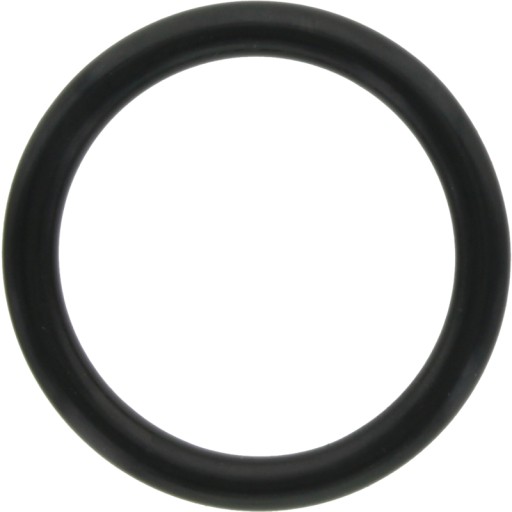 Tesniaci O-krúžok 31,5x4,5 mm čerpadlo ANNOVI REVERBERI