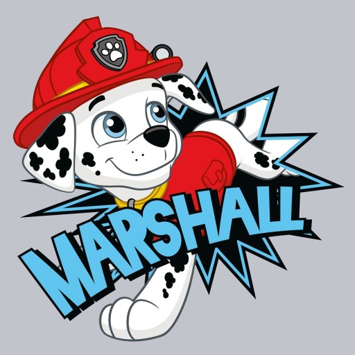 Čarovný uterák PAW PATROL MARSHALL, 30x30 bavlna