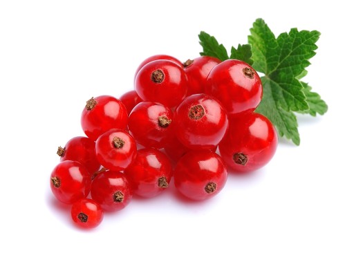 BIO Červená ríbezľa 100% bio šťava 250 ml