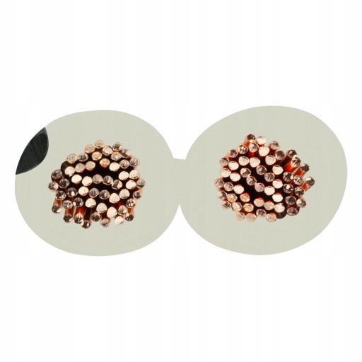 BITNER Reproduktorový kábel PURE COPPER CU OFC 2x2,5