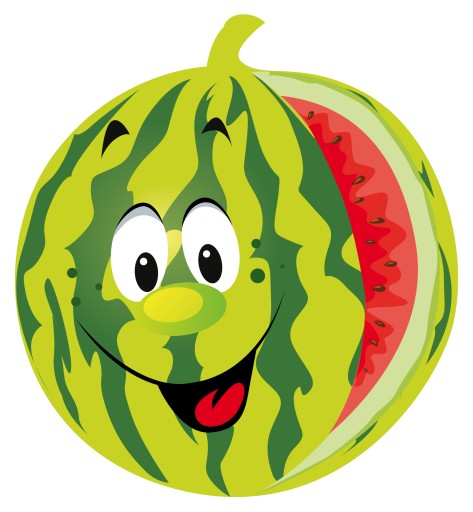 NÁLEPKA NA OKNO NÁBYTOK ZRKADLO VODNÝ MELÓN OVOC