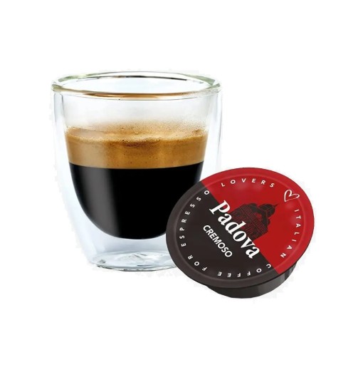 Talianska káva CAFFE PADOVA | A Modo Mio 16