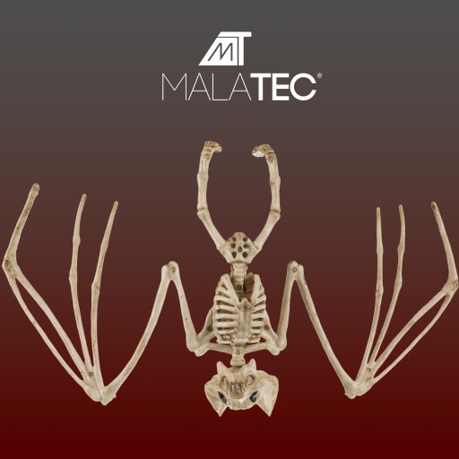 Kostra netopiera - dekorácia 30cm Malatec 22005