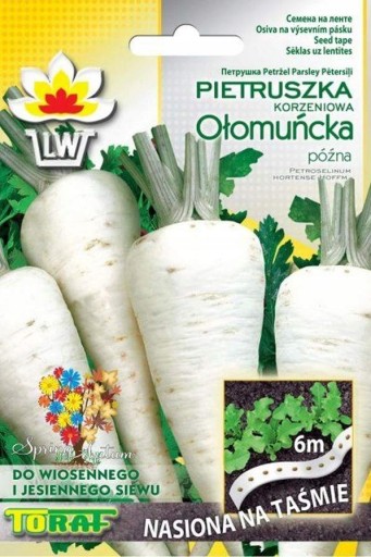 Semená petržlenovej vňate olomoucká na 6m páske Toraf, neskorá odroda