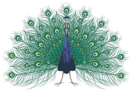 NÁLEPKA NA ZRKADLO NA OKNO PAW BIRD