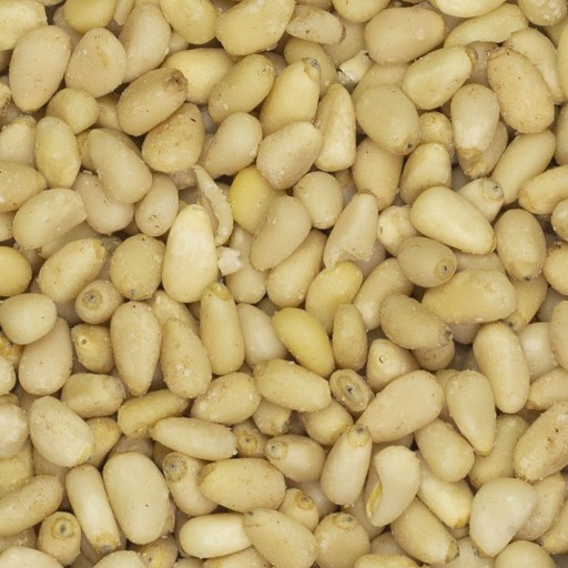 píniové oriešky 100g Prírodné píniové oriešky