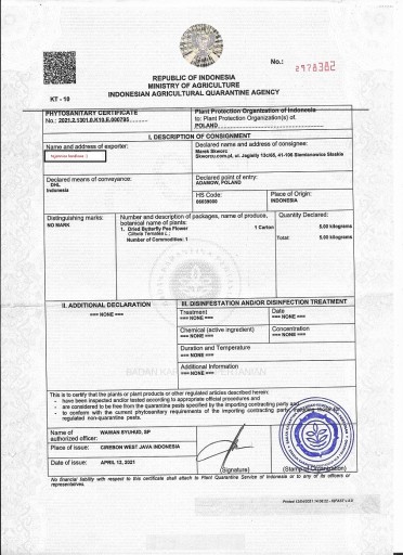 Certifikát modrého čaju Clitoria ternate