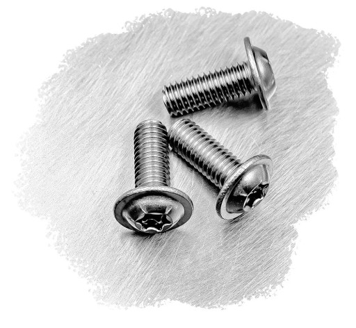M6x20 NEREZOVÁ SKRUTKA NA PRÍRUBU 7380F TORX (10)