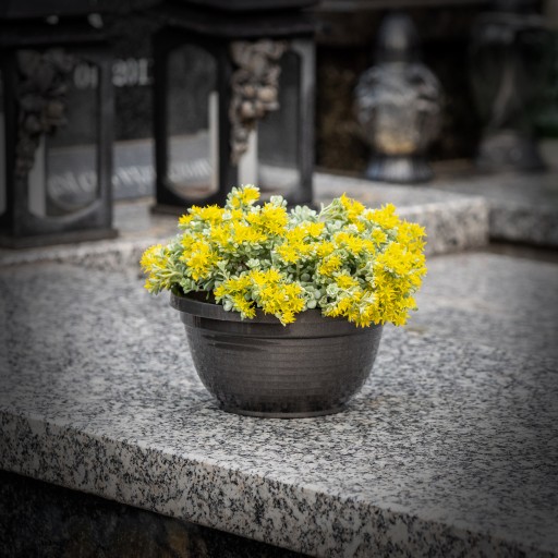 CINTORINOVÝ HROBOK PLASTOVÝ KVETINÁČ CINTORÍN 13cm