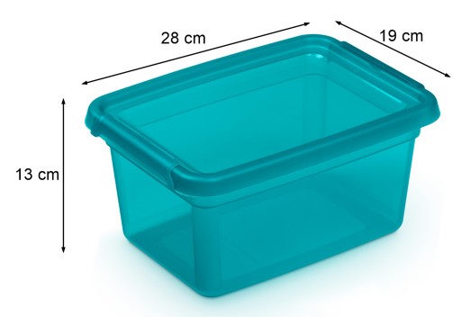 Úložný kontajner Box s krytom, hračky a drobnosti BaseStore 4,5l