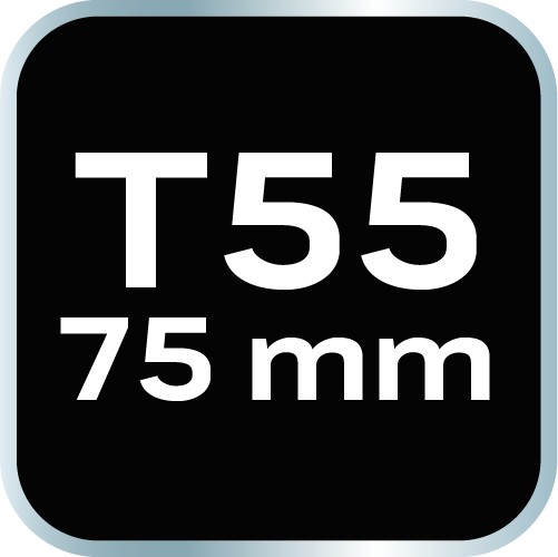 Bit TORX T55 x 75 mm, S2 x 2 ks.