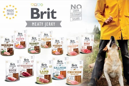 Brit Meaty Jerky Meaty Coins Králik 80g Maltézsky