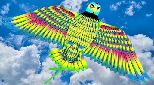 KITE BIRD 4050