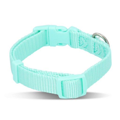 Prémiový obojok, pre psov, mint farba, S: 25–40 cm/15 mm