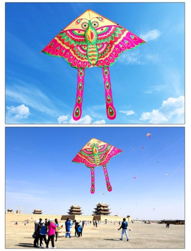 SUPER LIETAJÚCI KITE BUTTERFLY KITE 90cm FARBY