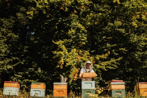 Akáciový med 2023 tekutý nektár Polish Natural Ceremuga Med 250g