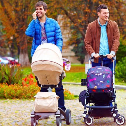 BabyOno NÁDOBA NA 1 cumlík akéhokoľvek typu Puzdro