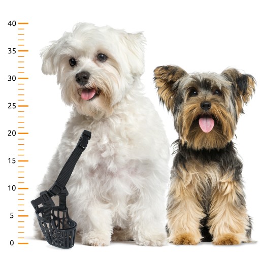 PSA NÁhubok 14 cm FYZIOLOGICKÝ NASTAVITEĽNÝ Plastový Yorkie šteňa