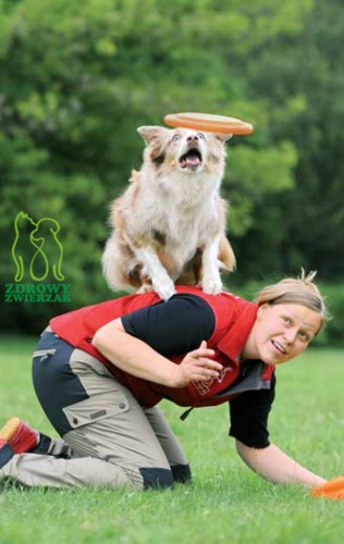 TRIXIE frisbee aportovacia hračka s mäkkým diskom pre psov 19 cm