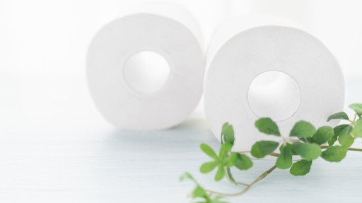 ABSORPČNÝ TOALETNÝ PAPIER JEMNÝ ZEFIR 8 VALCOV 250 PRUHOV 3 VRSTVA BIELA