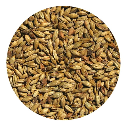 VIKINGSKÝ SLAD OVSNÝ MAL 1kg