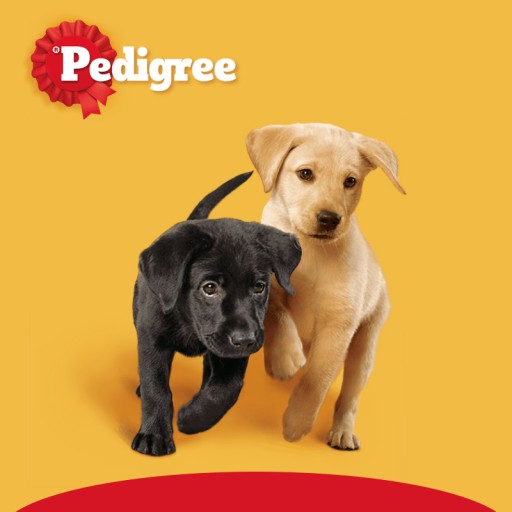 PEDIGREE BISCROK Psie piškóty V TVARE KOCIEK 500 G