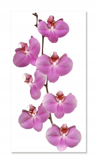 Nálepka na stenu s kvetmi orchideí 2