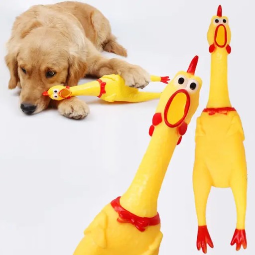MUST HAVE pre každého PSA je hračka GUMOVÉ KURIČKA s pískadlom, 30 cm