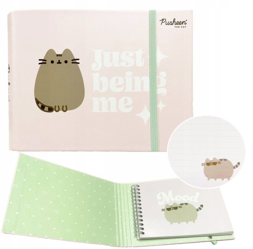 CAT PUSHEEN - Denník, zápisník, zápisník s gumou