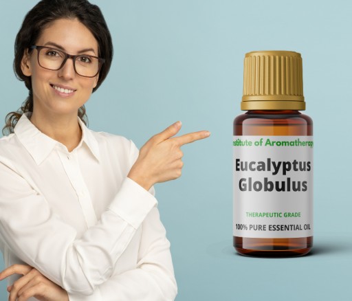 Eucalyptus Globulus ORGANIC oil, Aroma Institute
