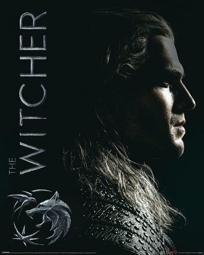 The Witcher The Witcher Shadows - plagát 40x50 cm