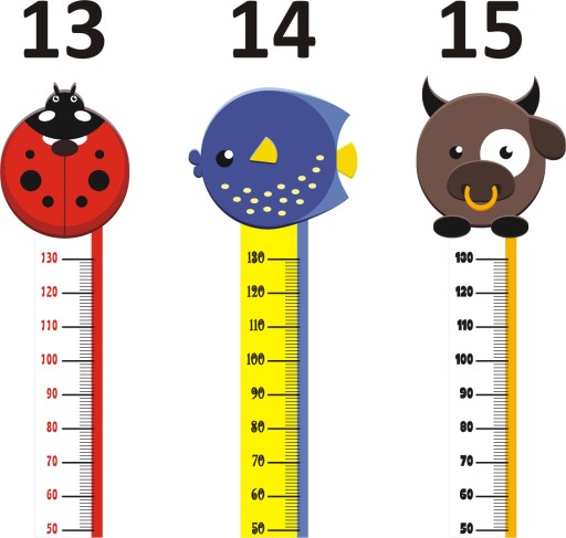 Nálepka MEASURE VÝŠKA
