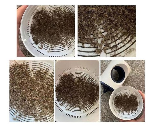 UV INSEKTICÍDNA LAMPA PRE KOMÁRE, HMYZ, muchy, osy, MOLE, USB VEĽKÉ