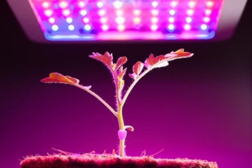 GROW 5630 FullSpectrum LED pásik pre rast rastlín