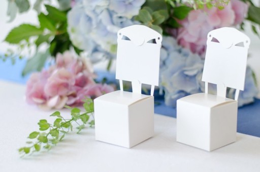BOXY NA STOLIČKY, BIELE SVADOBNÉ SVADOBNÉ SPOJENIE IHS 5X5X5CM 10 KS