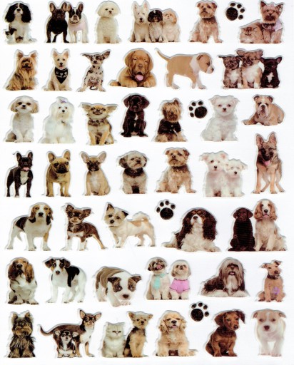 KONVEXNÉ MOTIVAČNÉ NÁLEPKY PUFFY 20x30cm. ALI DOGS DOGS DOGS