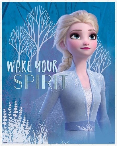 Plagát z filmu Frozen Frozen Elsa 40x50 cm