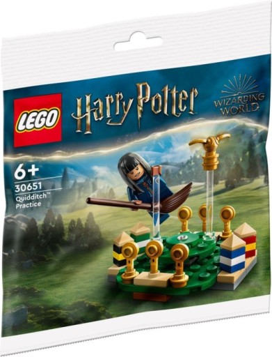 LEGO Harry Potter 30651 metlobalový tréning