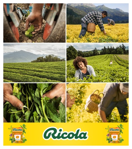 Ricola bylinkové cukríky zázvor mäta pomaranč na hrdlo a kašeľ 27,5g